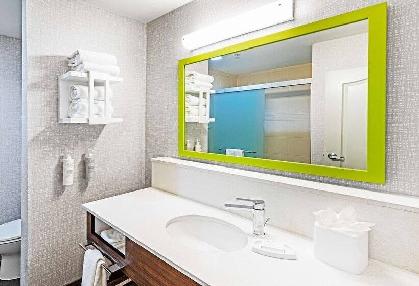 スイート, Hampton Inn & Suites Houston Heights I 10