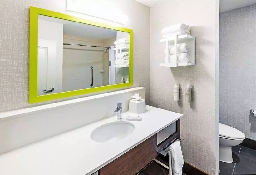 سوییت, Hampton Inn & Suites Houston Heights I 10