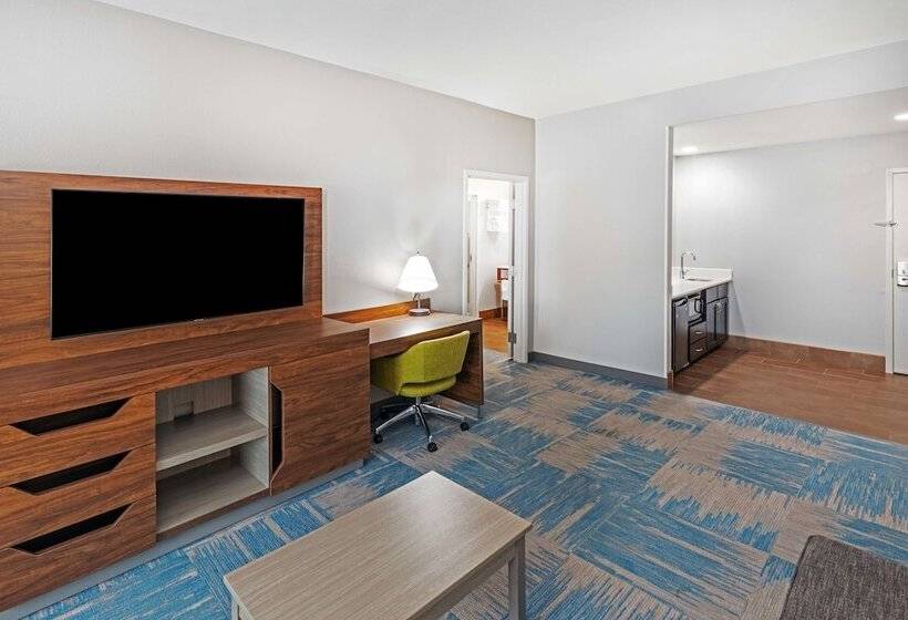 スイート, Hampton Inn & Suites Houston Heights I 10