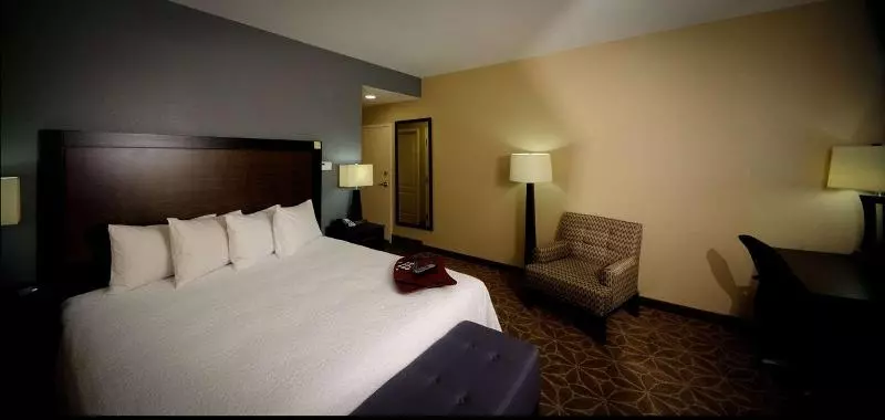 اتاق استاندارد با تخت بزرگ, Hampton Inn & Suites Houston Heights I 10