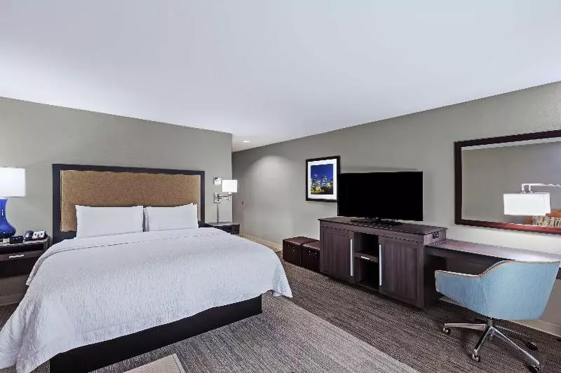 اتاق استاندارد با تخت بزرگ, Hampton Inn & Suites Houston Heights I 10