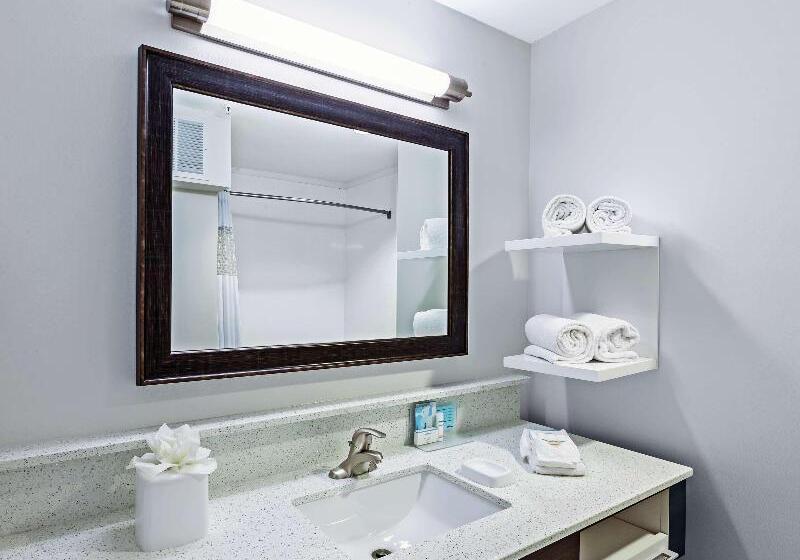 キングサイズベッドのスタンダードルーム, Hampton Inn & Suites Houston Heights I 10