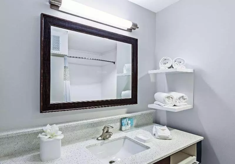 اتاق استاندارد با تخت بزرگ, Hampton Inn & Suites Houston Heights I 10