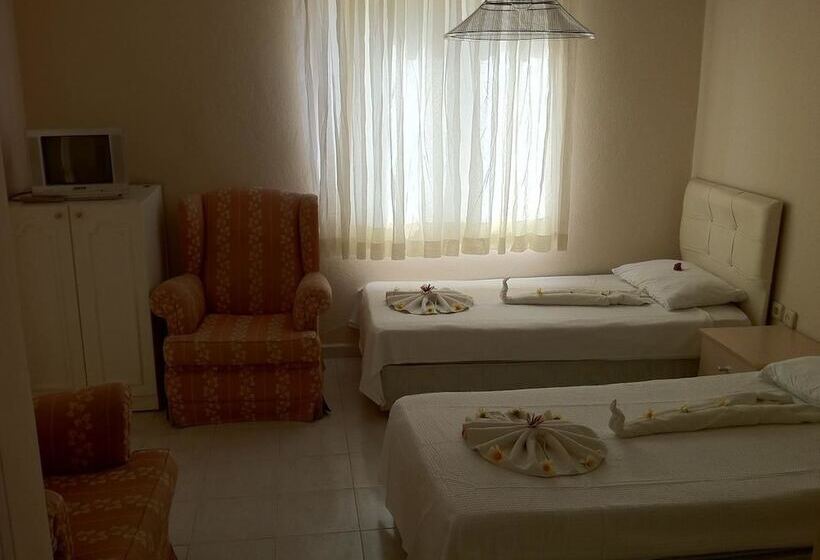 Номер Стандарт, Meryemana