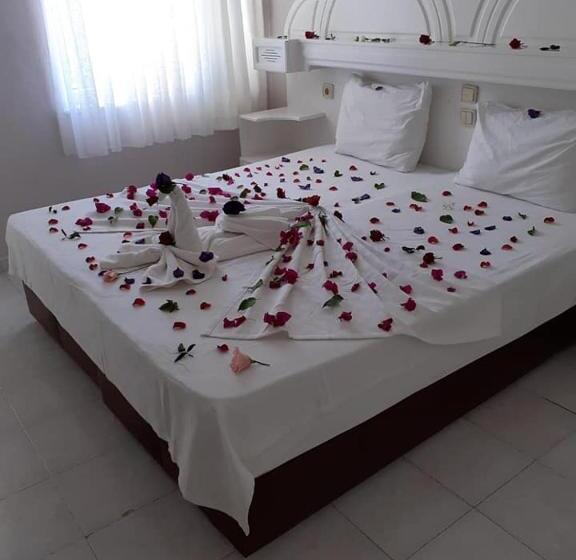 Номер Стандарт, Meryemana