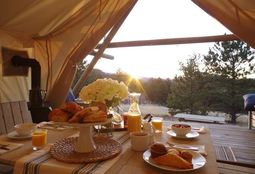 كوخ ديلوكس, Black Tree Resort