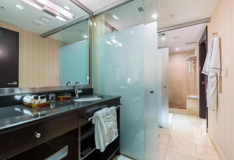 套房带泳池景, Sbv Luxury Ocean Hotel Suites