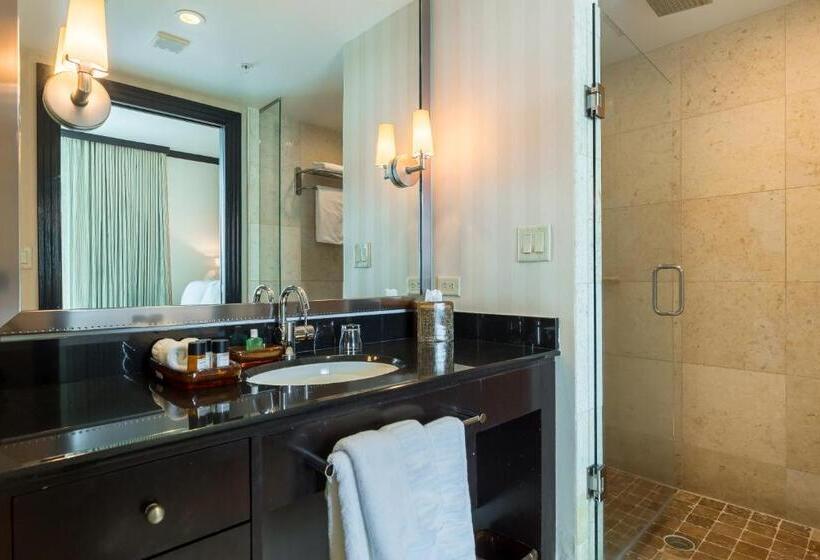 套房带泳池景, Sbv Luxury Ocean Hotel Suites