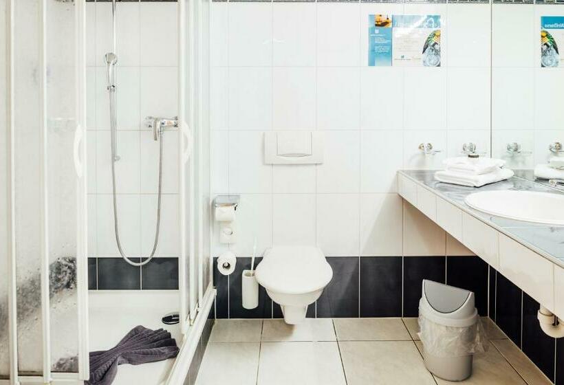 Номер Стандарт Индивидуальный, Flexymotel Buchs