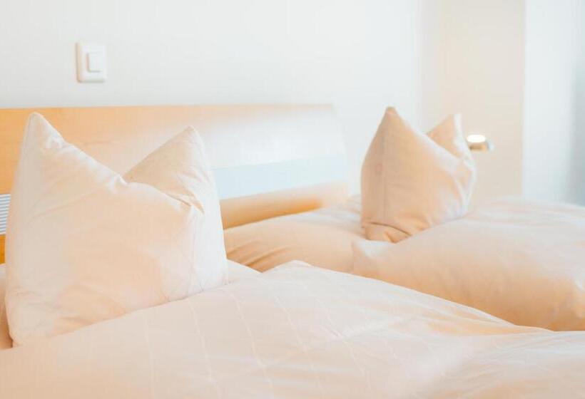 Номер Стандарт, Flexymotel Buchs