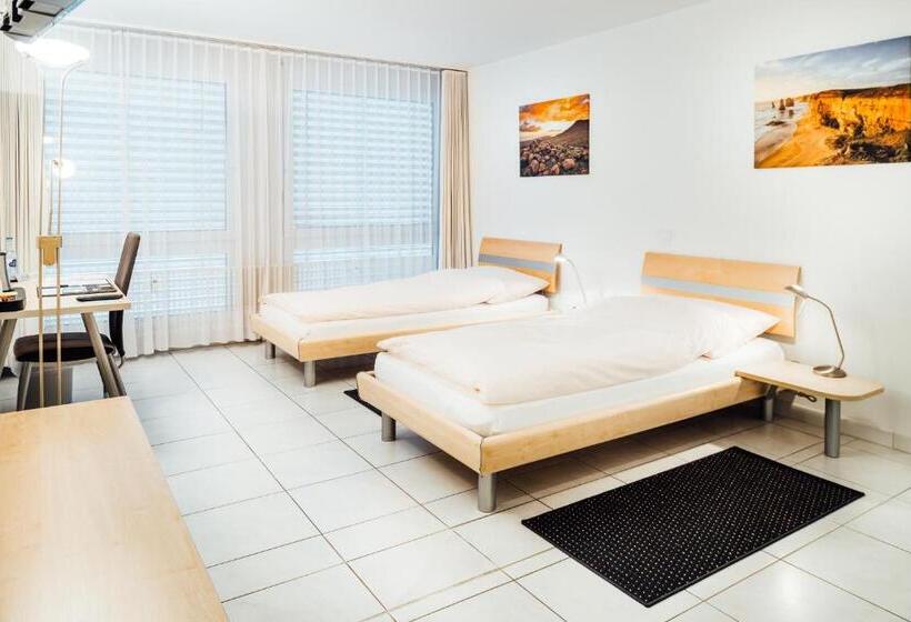 Номер Superior, Flexymotel Buchs