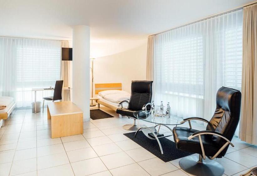 Полулюкс, Flexymotel Buchs