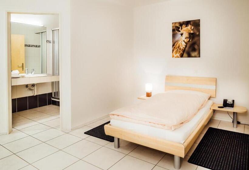 Полулюкс, Flexymotel Buchs