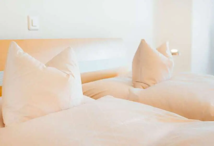 Habitación Estàndard Individual, Flexymotel Buchs