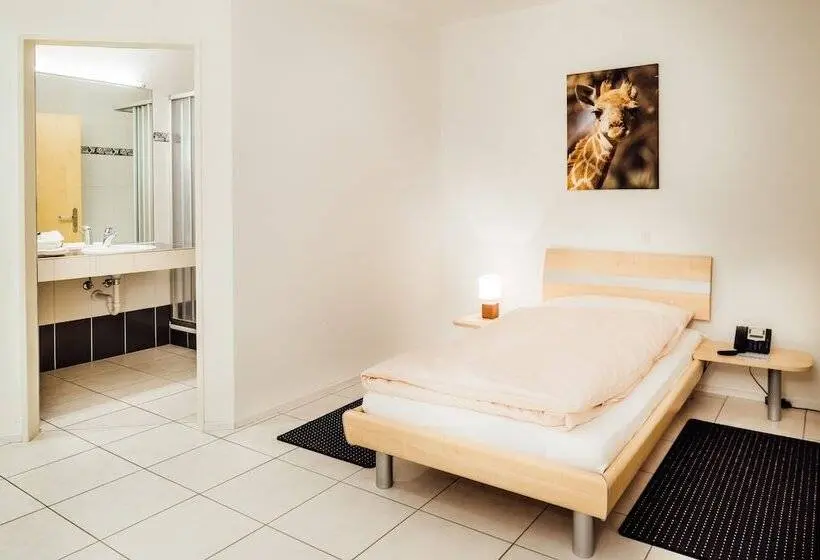 Habitación Estàndard Individual, Flexymotel Buchs