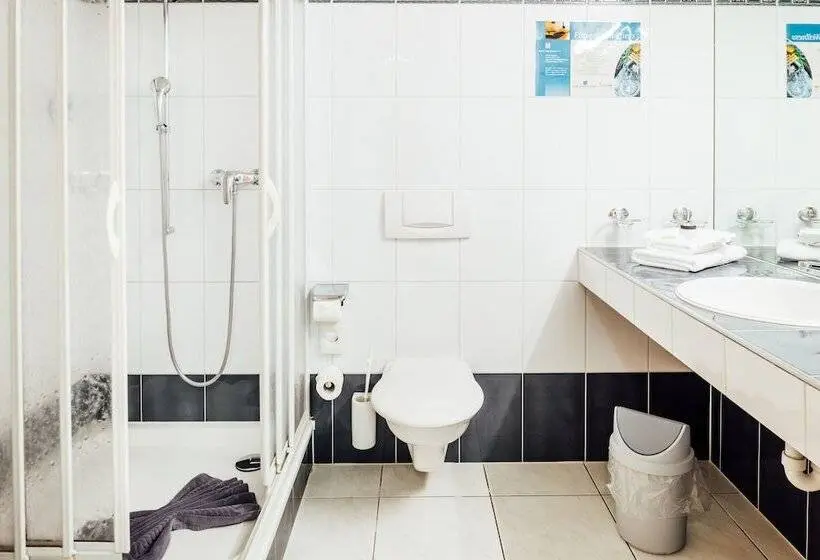 Habitación Estàndard Individual, Flexymotel Buchs