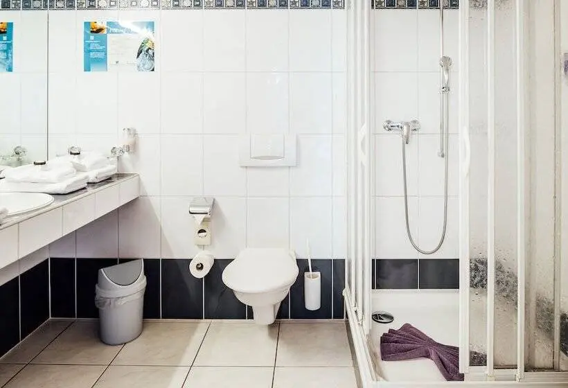 Habitación Estàndard Individual, Flexymotel Buchs