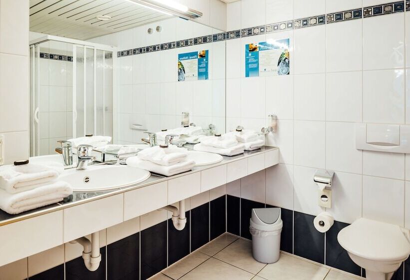 Номер Стандарт Индивидуальный, Flexymotel Buchs