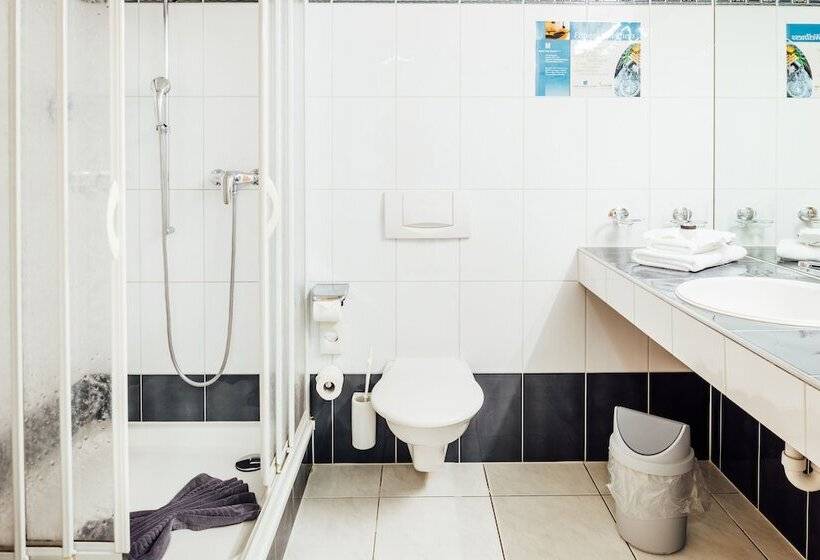 Номер Стандарт, Flexymotel Buchs