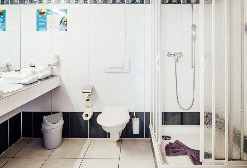 Номер Стандарт, Flexymotel Buchs