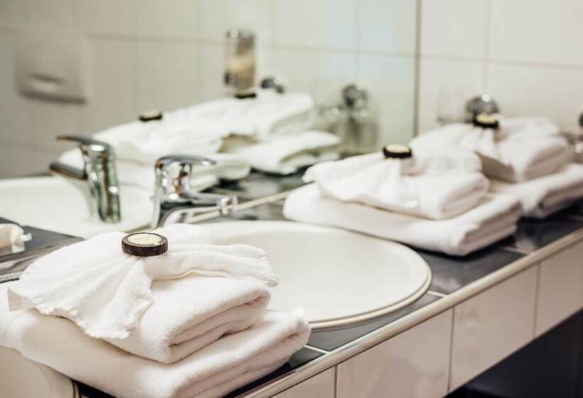 Номер Стандарт, Flexymotel Buchs