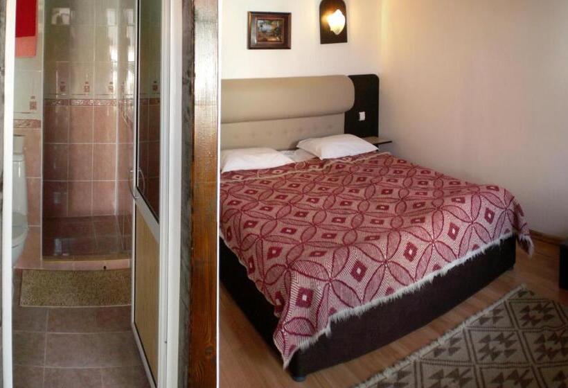 חדר סטנדרט, гостоприемница георги