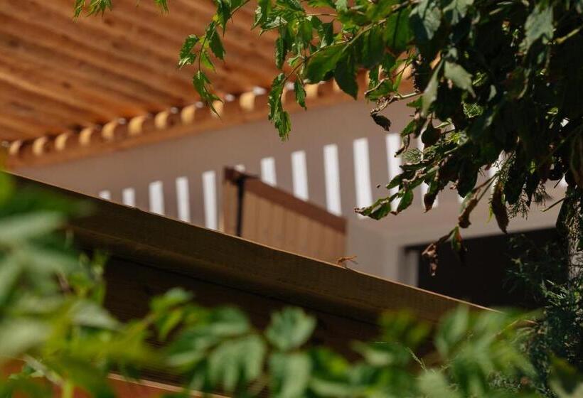 패밀리 룸 가든 전망, Hôtel Casa Marina