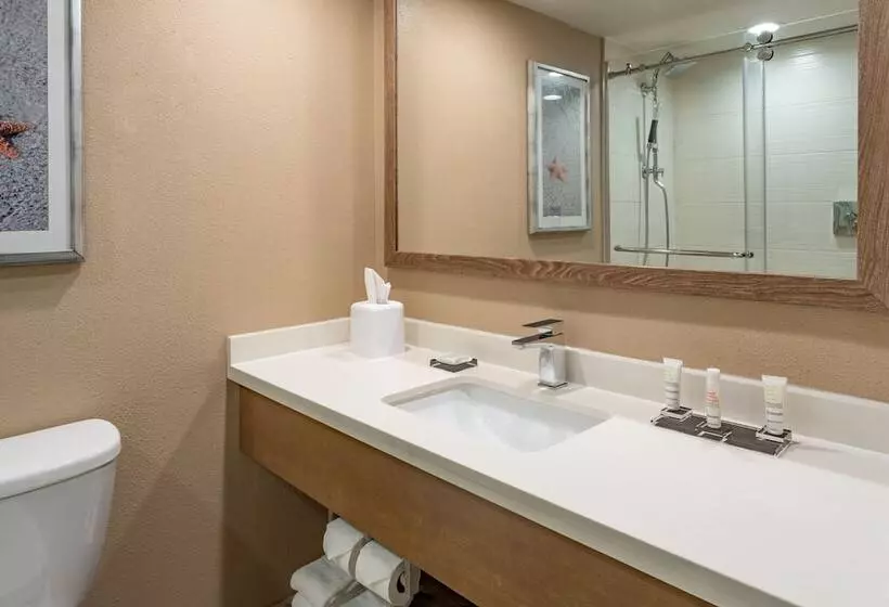 身障者適用スイートルーム, Clearwater Beach Marriott Resort On Sand Key