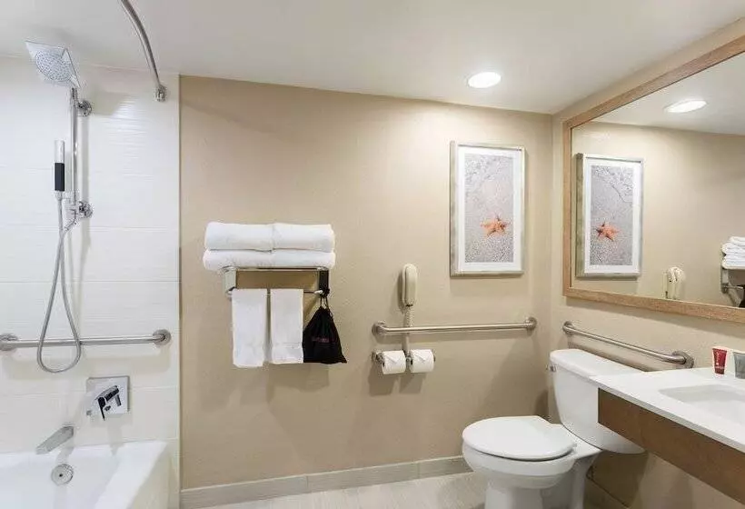 身障者適用スイートルーム, Clearwater Beach Marriott Resort On Sand Key