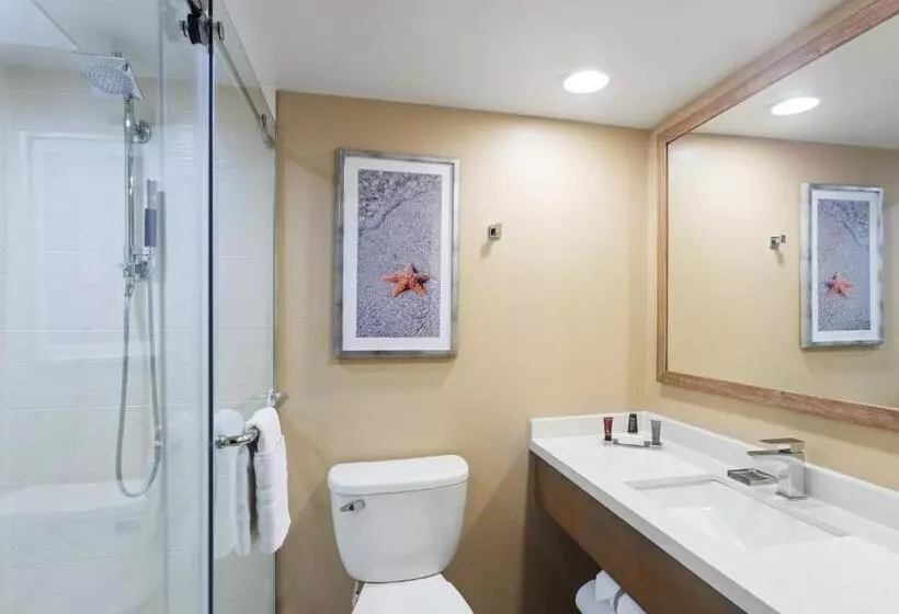 2 Bedrooms Suite Sea View, Clearwater Beach Marriott Resort On Sand Key