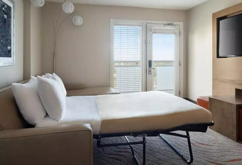 身障者適用スイートルーム, Clearwater Beach Marriott Resort On Sand Key