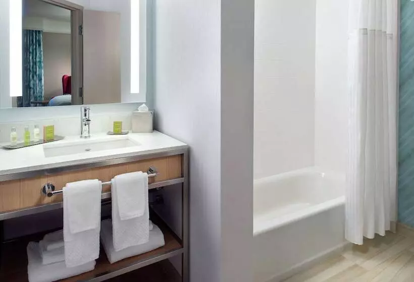 اتاق استاندارد با 2 تخت دوبل, Hilton Garden Inn Atlanta  Buckhead