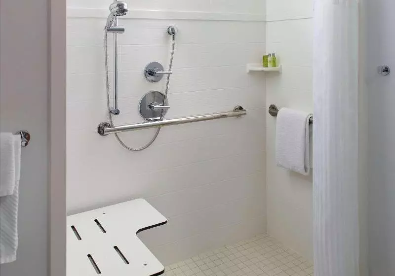 اتاق استاندارد با تخت بزرگ, Hilton Garden Inn Atlanta  Buckhead