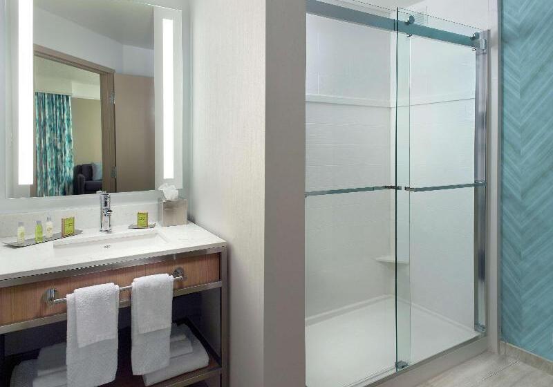 带大床的标准间, Hilton Garden Inn Atlanta  Buckhead