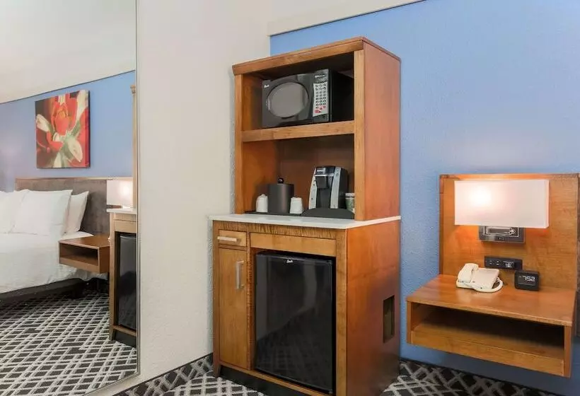 スタンダードルーム, Hilton Garden Inn Dallas/market Center