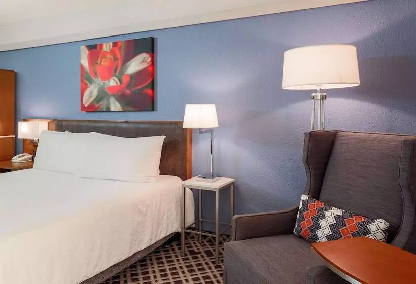 スタンダードルーム, Hilton Garden Inn Dallas/market Center