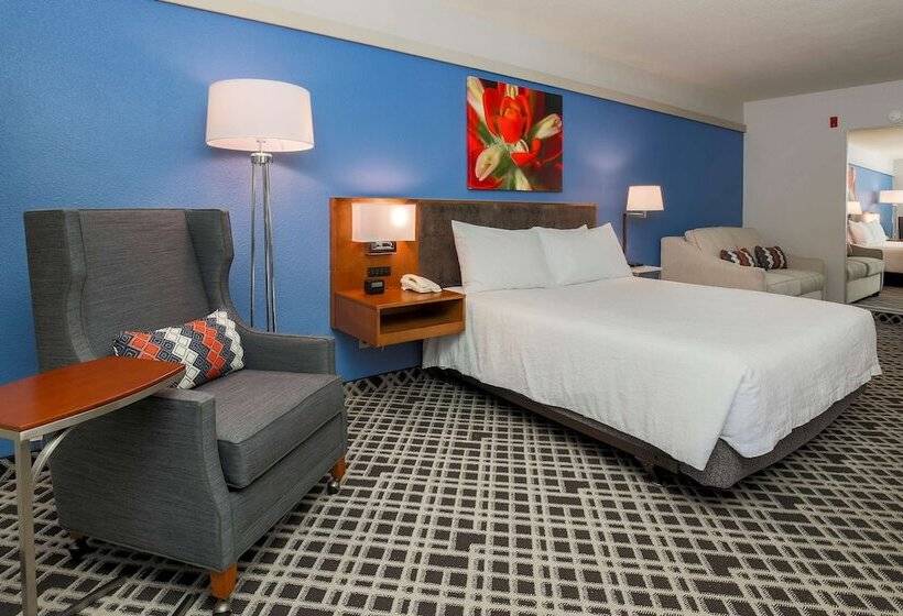 标准间, Hilton Garden Inn Dallas/market Center