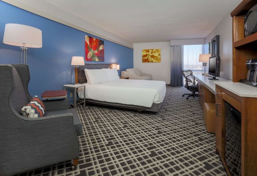 豪华房间, Hilton Garden Inn Dallas/market Center
