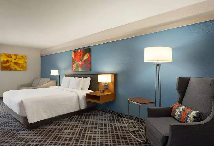 デラックスルーム, Hilton Garden Inn Dallas/market Center