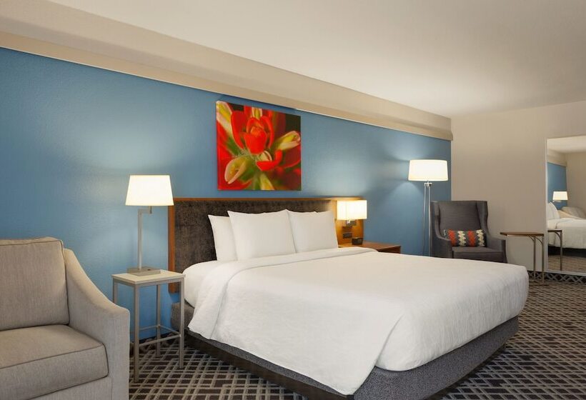 Номер Deluxe, Hilton Garden Inn Dallas/market Center