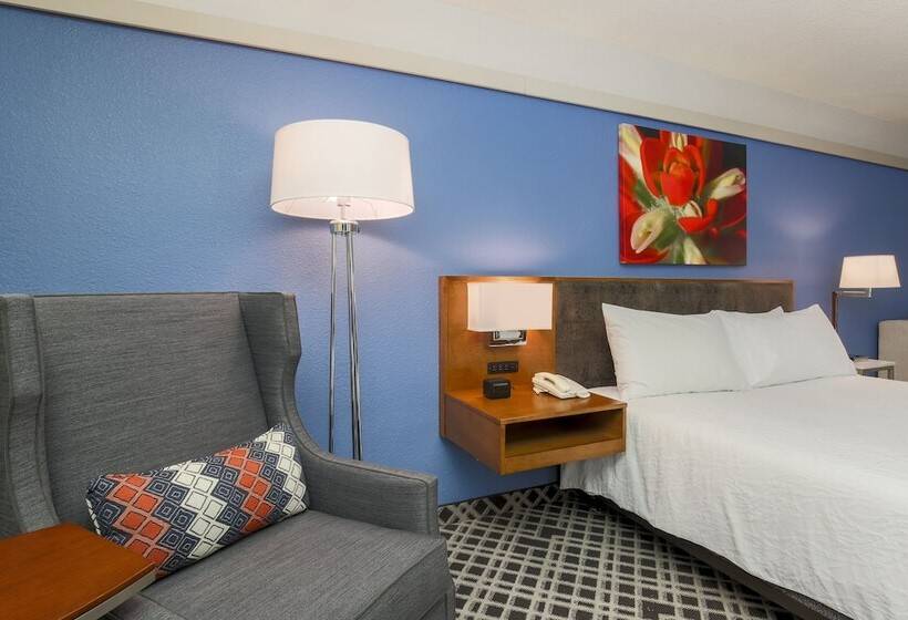 豪华房间, Hilton Garden Inn Dallas/market Center