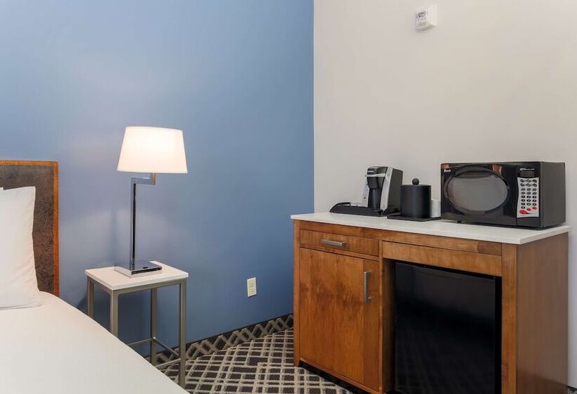 适合残疾人使用的标准间, Hilton Garden Inn Dallas/market Center