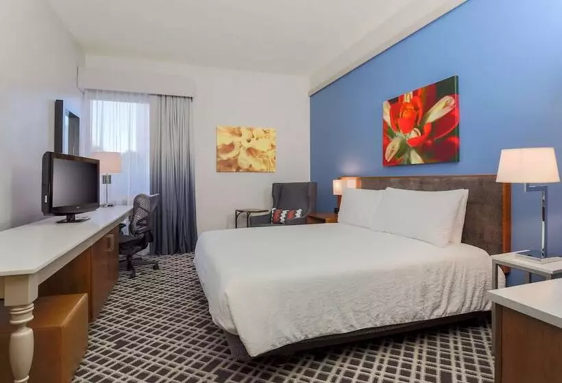 身障者適用スタンダードルーム, Hilton Garden Inn Dallas/market Center