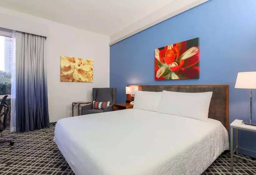 身障者適用スタンダードルーム, Hilton Garden Inn Dallas/market Center