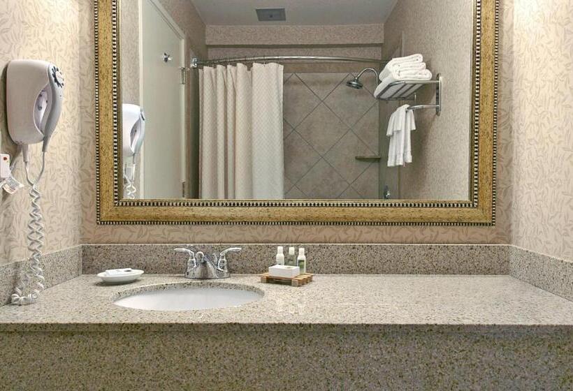 غرفة بريميوم, Olympia  At Capitol Lake