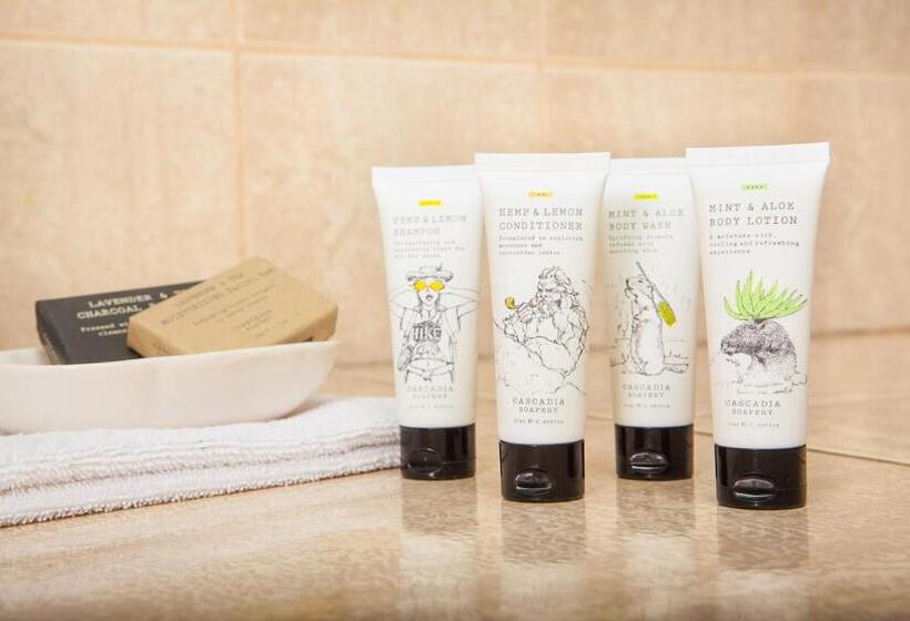 غرفة قياسية سرير كينج لذوى الإحتياجات الخاصة, Olympia  At Capitol Lake