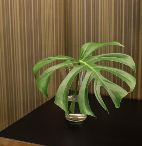 주니어 스위트, Promenade Palladium Leblon