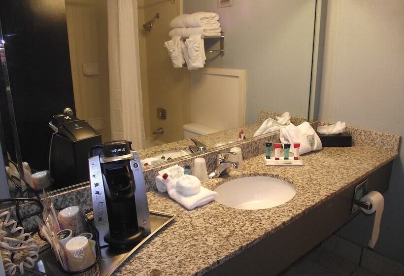 豪华房间, Travelodge By Wyndham Memphis Airport/graceland