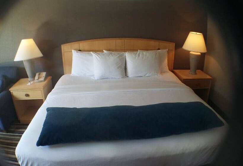 豪华房间, Travelodge By Wyndham Memphis Airport/graceland