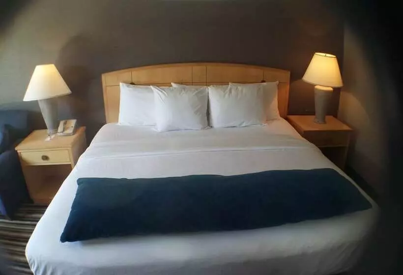 デラックスルーム, Travelodge By Wyndham Memphis Airport/graceland